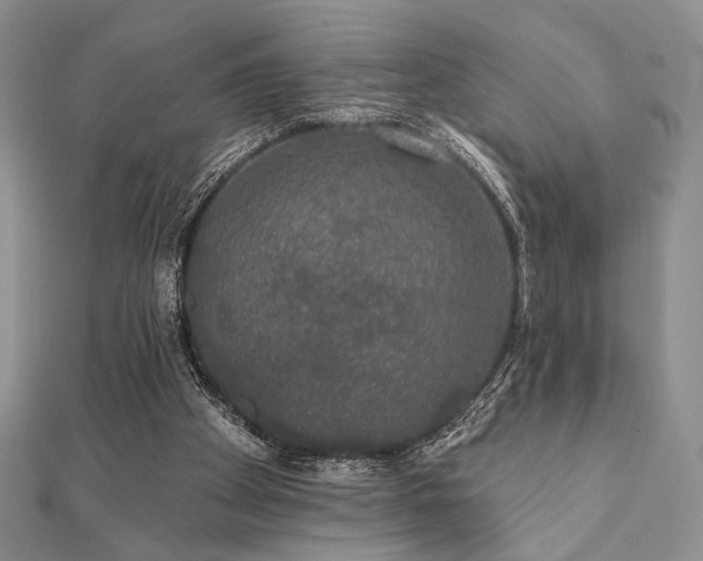 X0000112000105200908031237