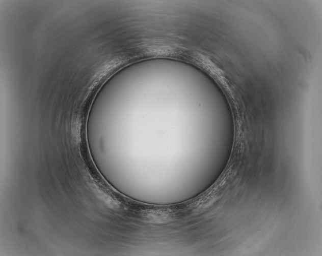 X0000112000106200908031237