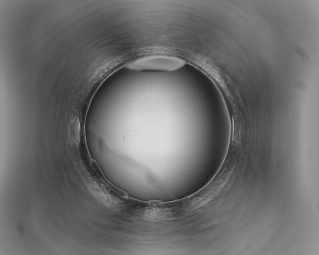 X0000112000109200908031237