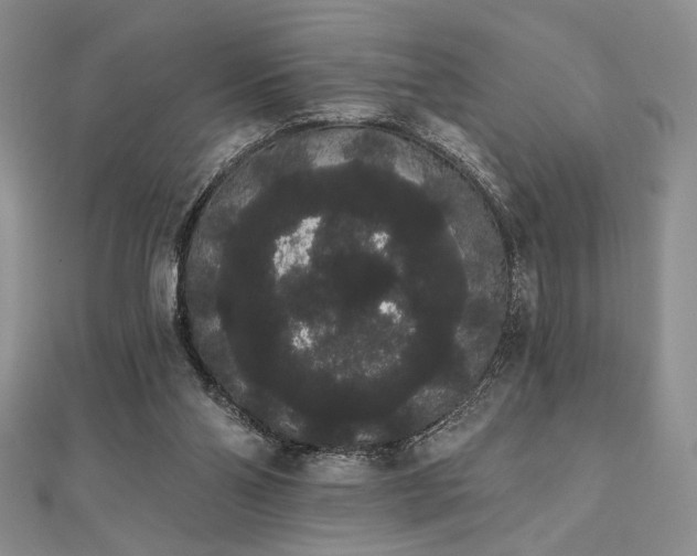 X0000112000110200908031237