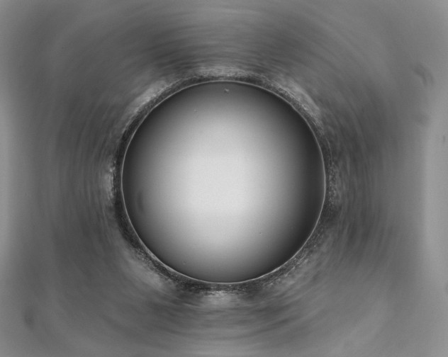 X0000112000111200908031236