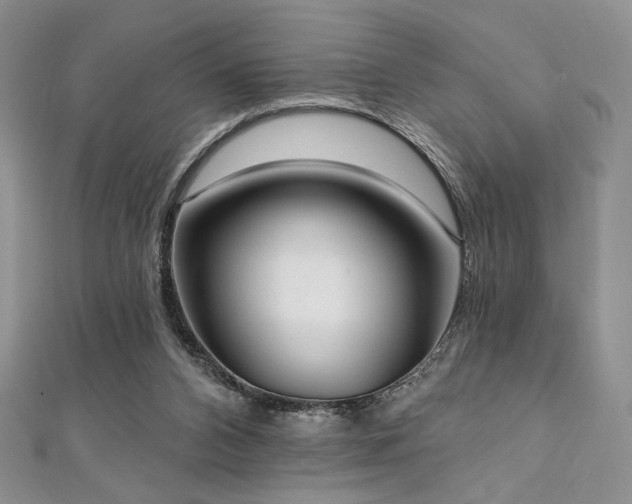 X0000112000112200908031236