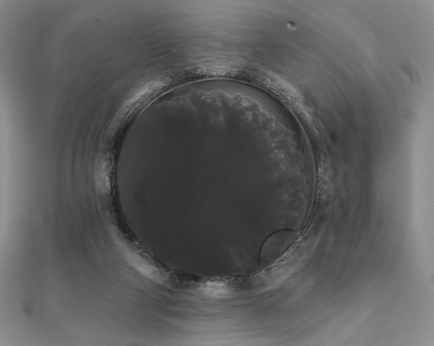 X0000112000114200908031236