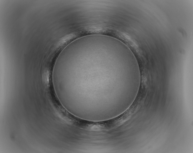 X0000112000115200908031236