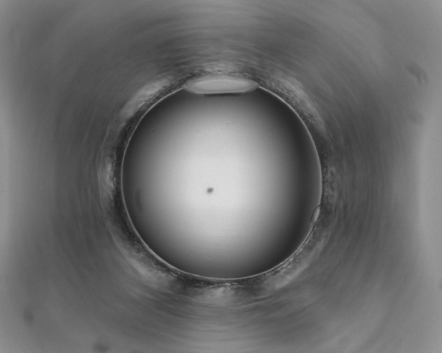 X0000112000116200908031236