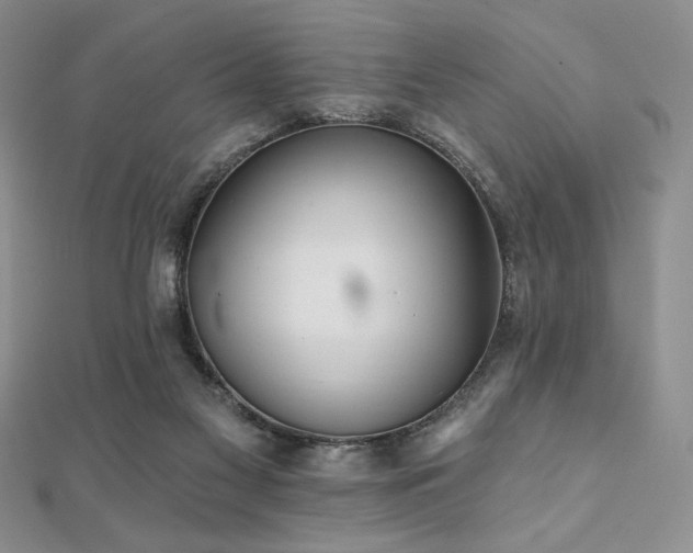 X0000112000117200908031236