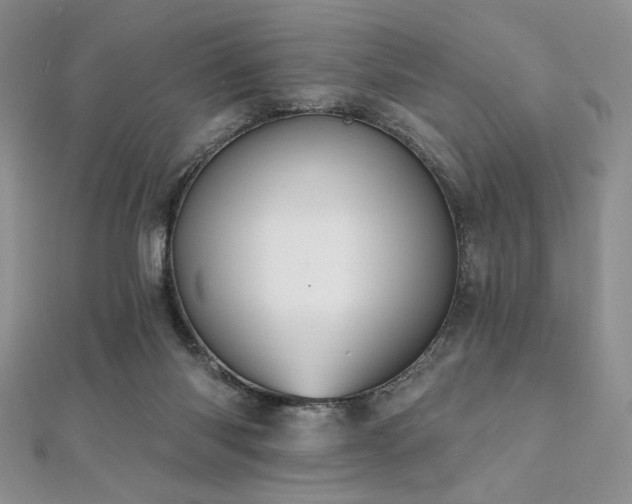 X0000112000118200908031236