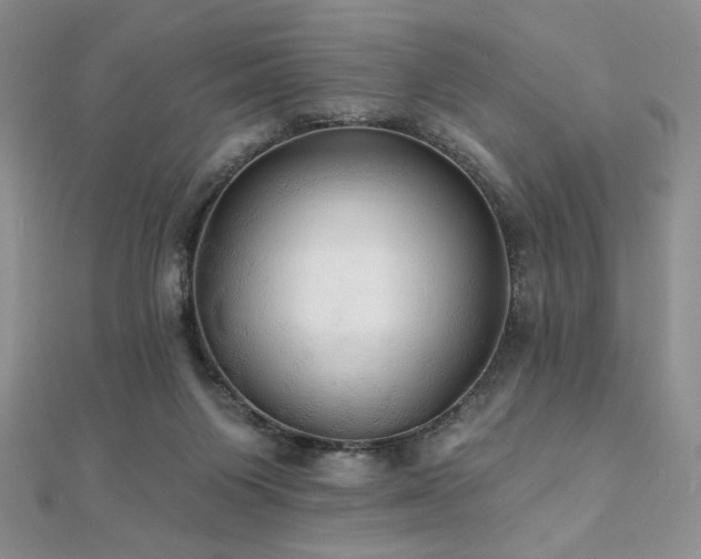 X0000112000119200908031236