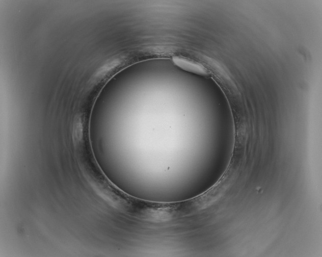 X0000112000120200908031236