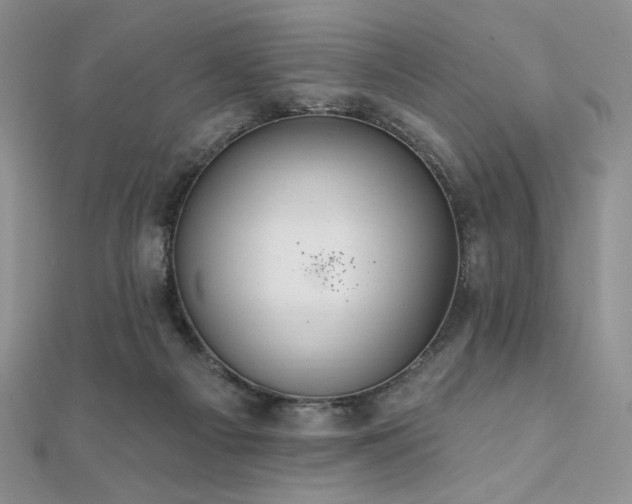 X0000112000121200908031236