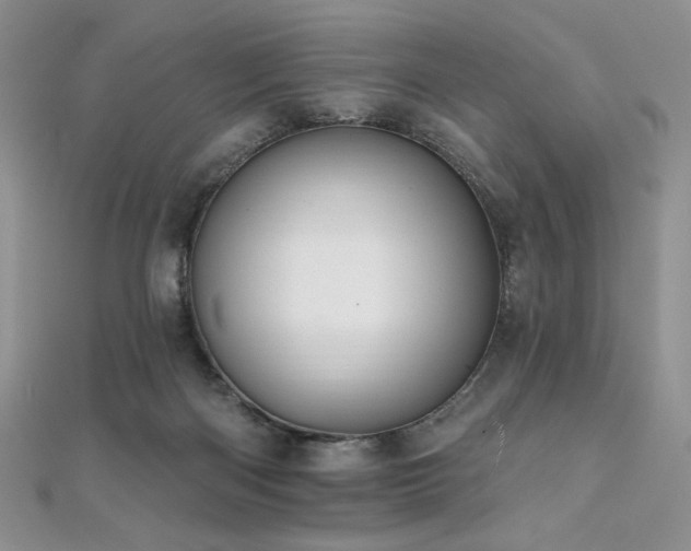 X0000112000122200908031236