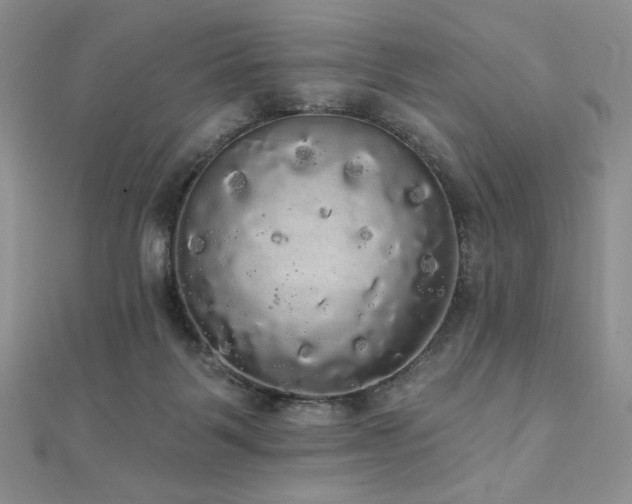 X0000112000123200908031236