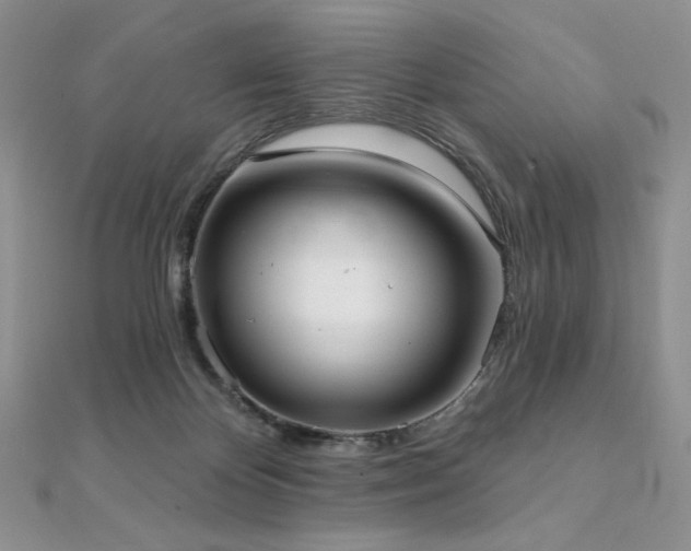 X0000112000124200908031236