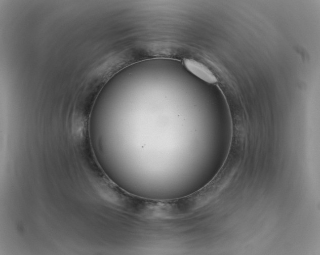 X0000112000125200908031236