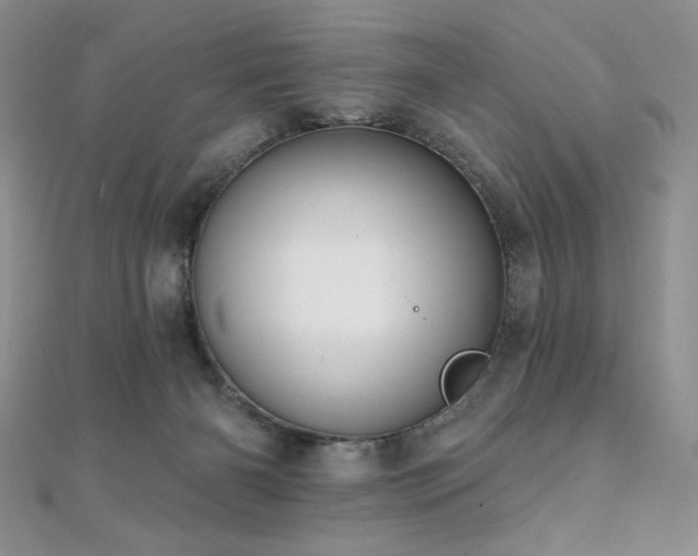 X0000112000126200908031236