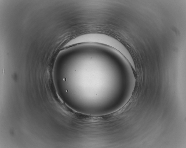 X0000112000128200908031236