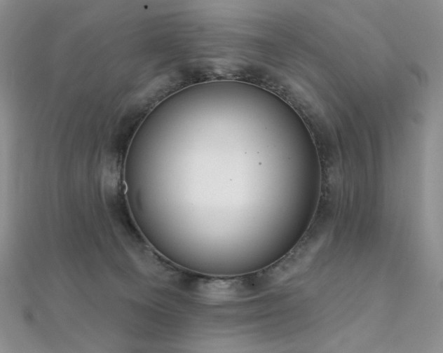 X0000112000129200908031236