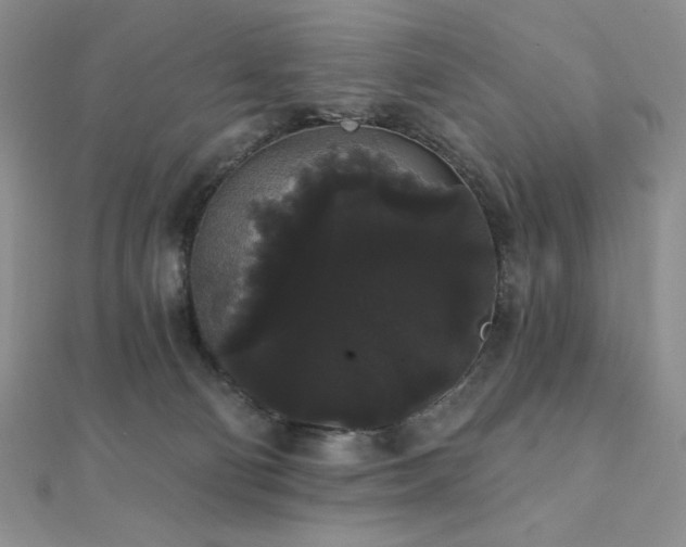 X0000112000130200908031236