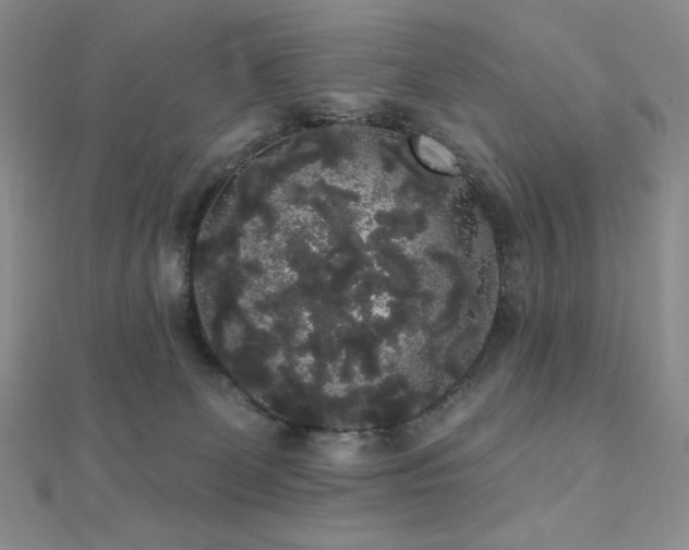 X0000112000131200908031236