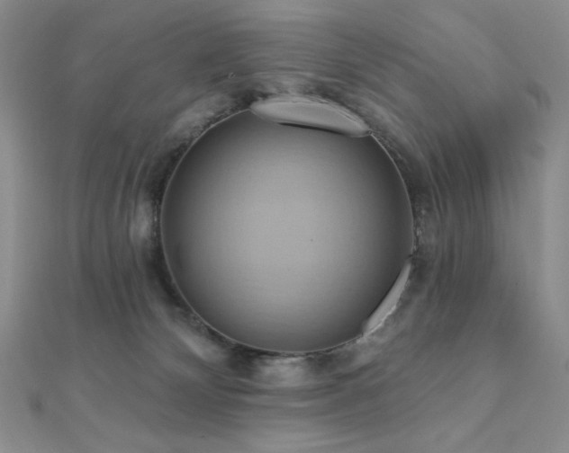 X0000112000132200908031236