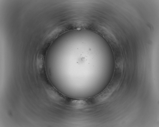 X0000112000133200908031236