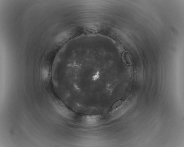 X0000112000134200908031236