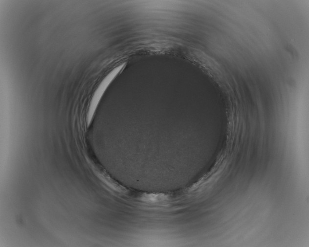 X0000112000137200908031236