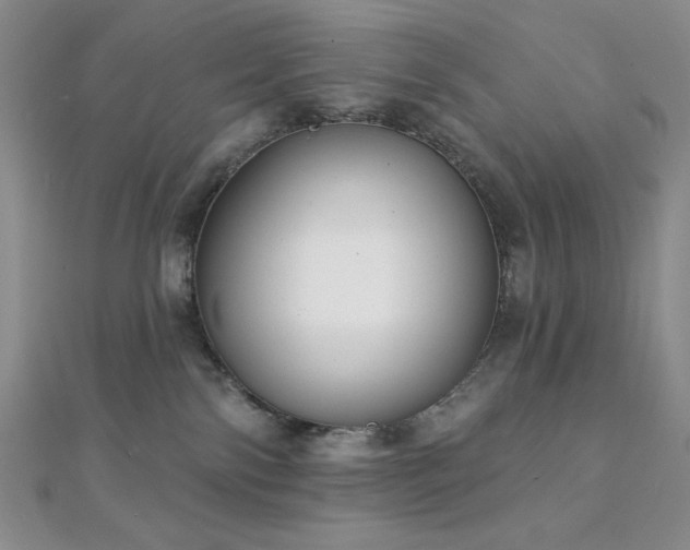 X0000112000138200908031236