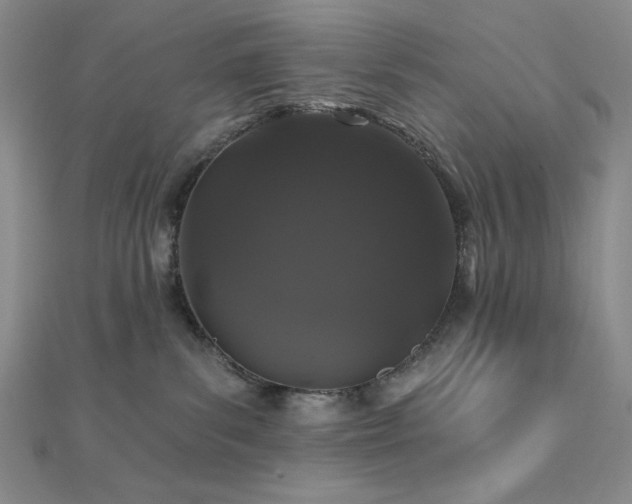 X0000112000139200908031236