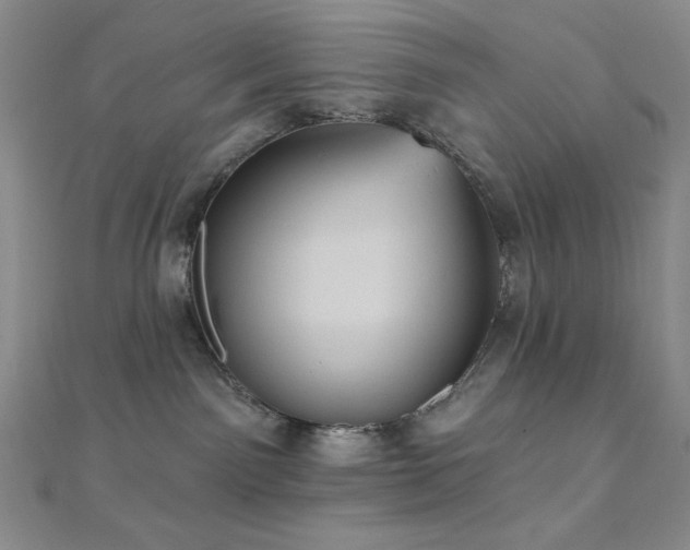 X0000112000141200908031236