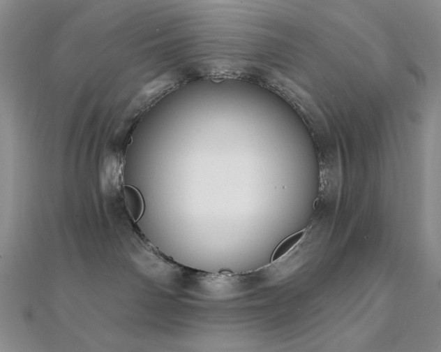 X0000112000142200908031236