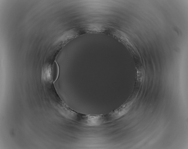 X0000112000143200908031236