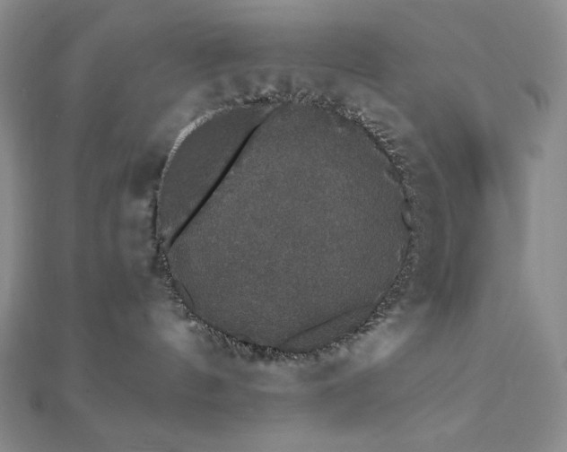 X0000112000144200908031236