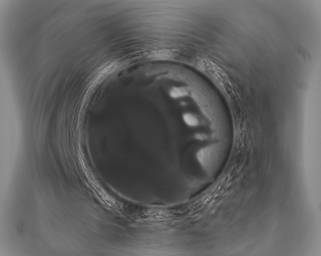 X0000112000145200908031235