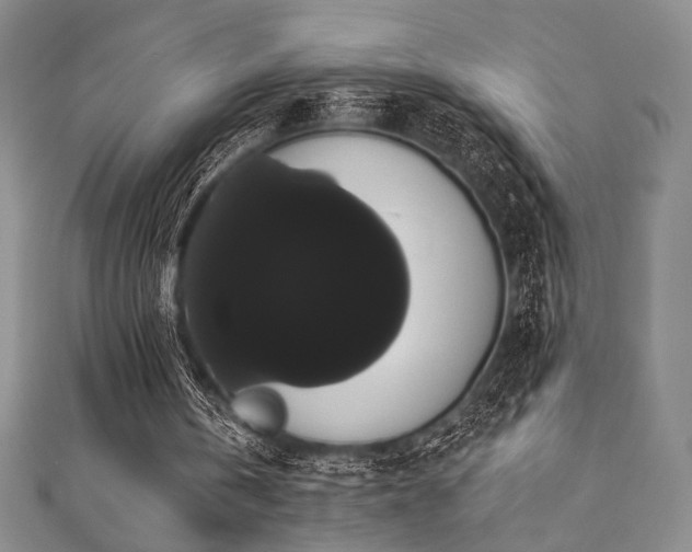 X0000112000146200908031235