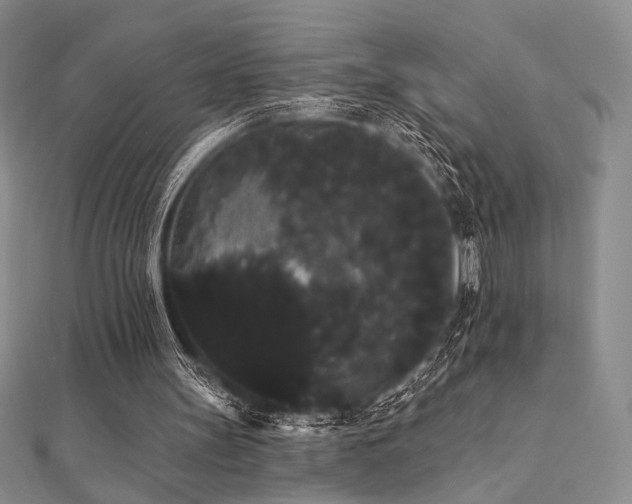 X0000112000147200908031235