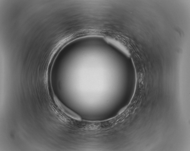 X0000112000148200908031235