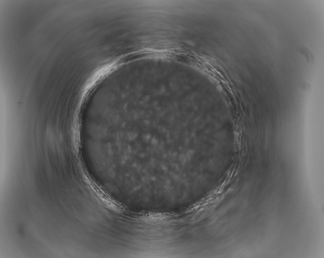 X0000112000149200908031236