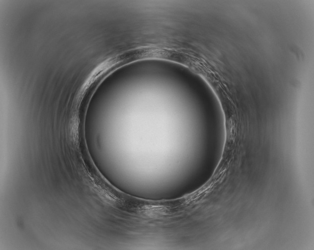 X0000112000150200908031236