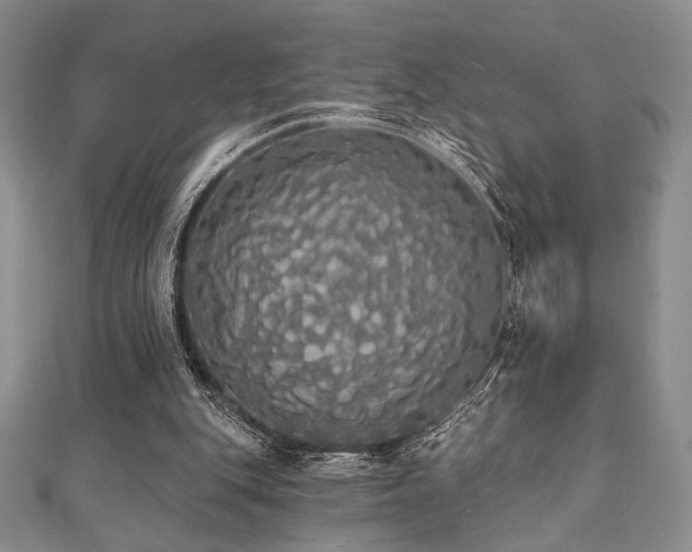 X0000112000151200908031236