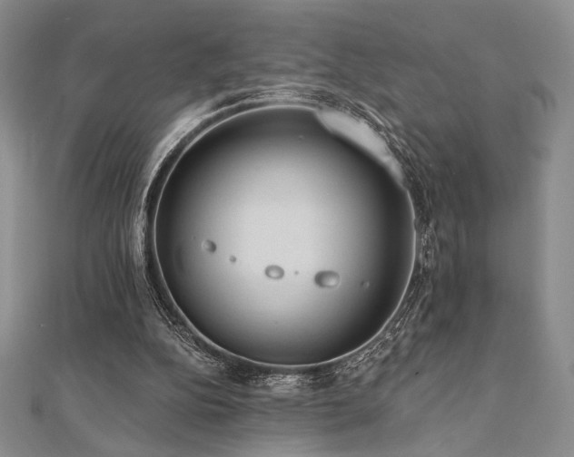 X0000112000152200908031236