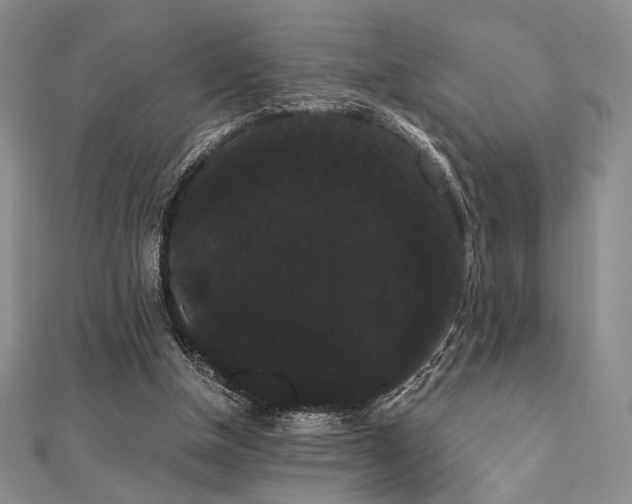 X0000112000154200908031236