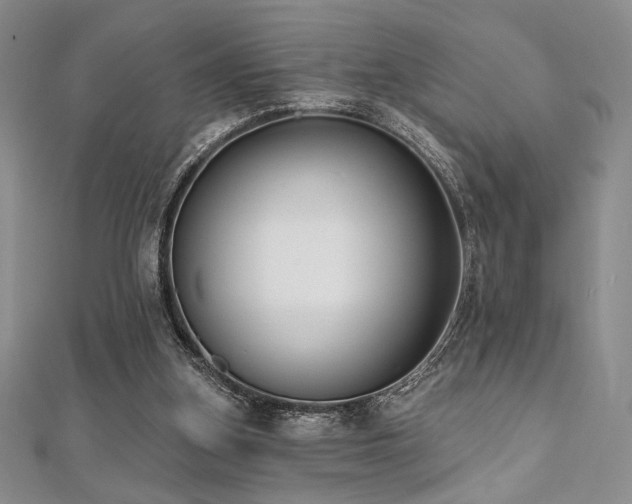 X0000112000155200908031236