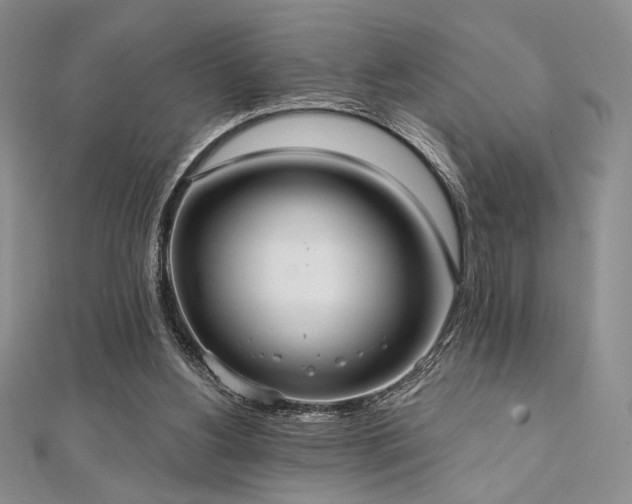 X0000112000156200908031236