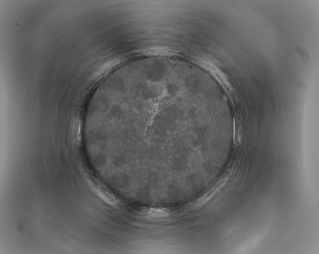 X0000112000157200908031236