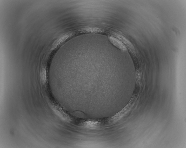 X0000112000158200908031236