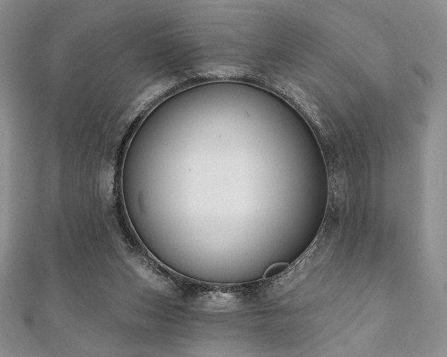 X0000112000159200908031236