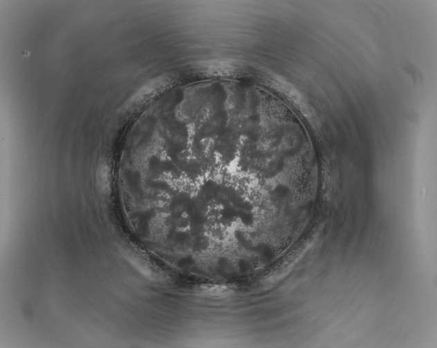 X0000112000161200908031236