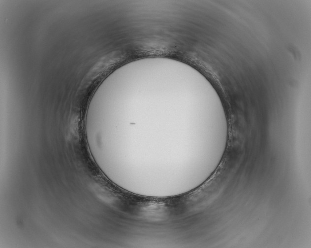 X0000112000162200908031236