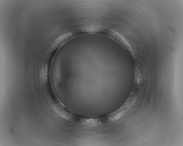 X0000112000163200908031236